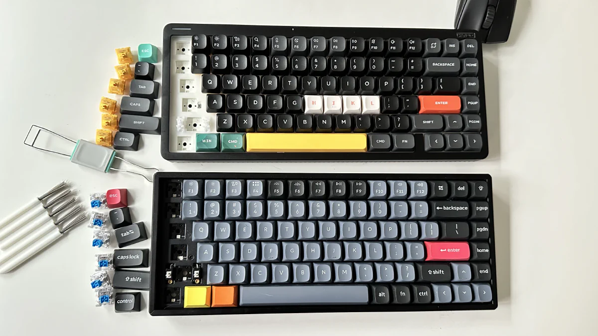 One column of switches removed from both keyboards